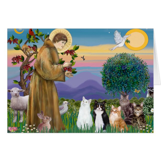 Sister Frances Blessing 5 cats (Front Horizontal)