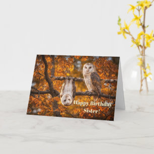 Sister Happy Birthday Humour Funny with Two Owls Card