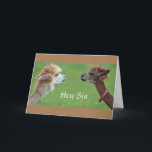 SISTER HUMOR FOR MY FAV *SISTER'S* BIRTHDAY! CARD<br><div class="desc">THANK YOU FOR STOPPING BY ONE OF MY EIGHT STORES!!!!</div>