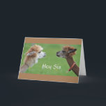 SISTER HUMOR FOR MY FAV *SISTER'S* BIRTHDAY! CARD<br><div class="desc">THANK YOU FOR STOPPING BY ONE OF MY EIGHT STORES!!!!</div>