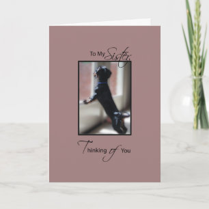Sister Thinking of You with Little Dog, Get Well Card