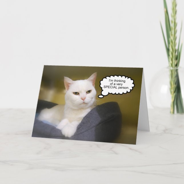 Sister White Cat Birthday Humour Card (Front)