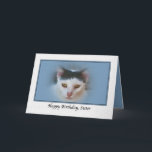 Sister's Birthday Card with Cat<br><div class="desc">This lovely cat was photographed on Cedar Key,  Florida.  He makes a terrific cover for a birthday greeting.</div>