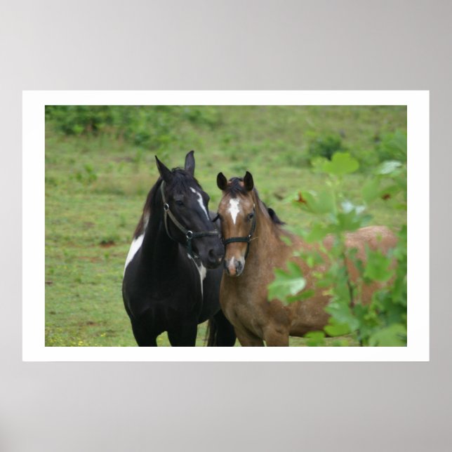 Sisters love poster (Front)