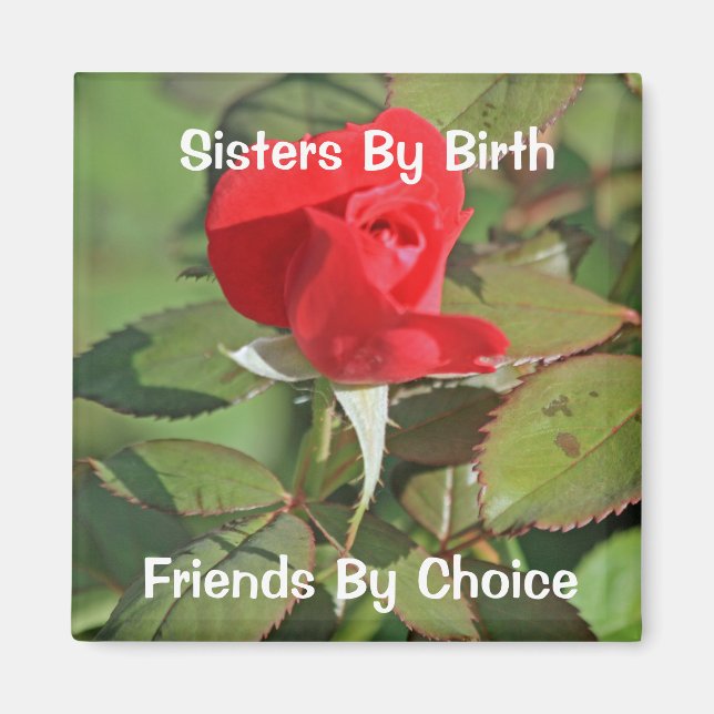 Sisters Magnet (Front)