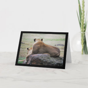 Sisters of the Savannah Card