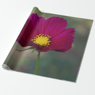 Sister's Perfect Flower Wrapping Paper