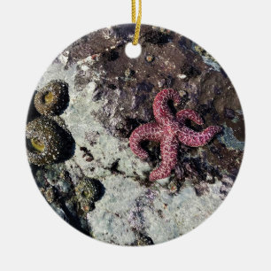 Sisters Rock State Park, Oregon Coast Ceramic Tree Decoration