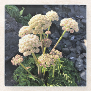 Sisters Rock State Park, Oregon Coast Glass Coaster