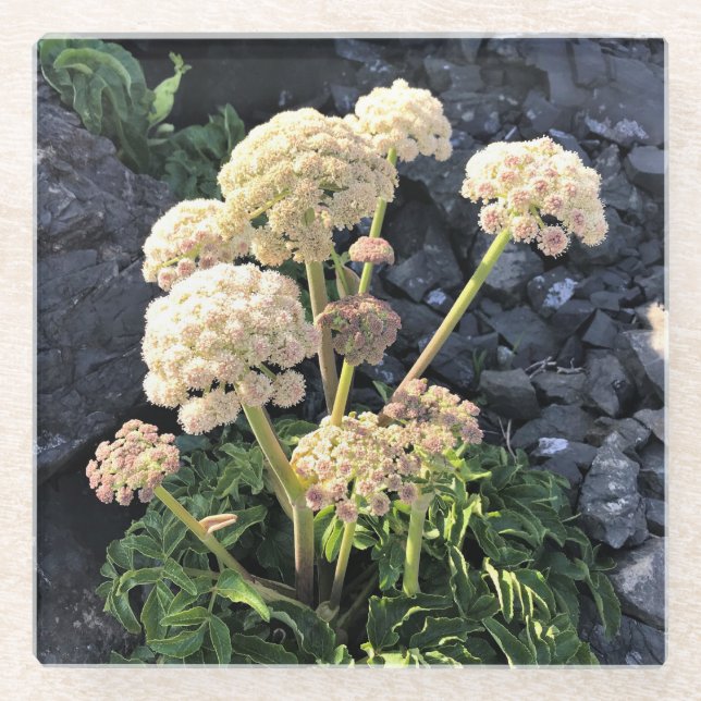 Sisters Rock State Park, Oregon Coast Glass Coaster (Front)