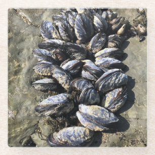 Sisters Rock State Park, Oregon Coast Glass Coaster