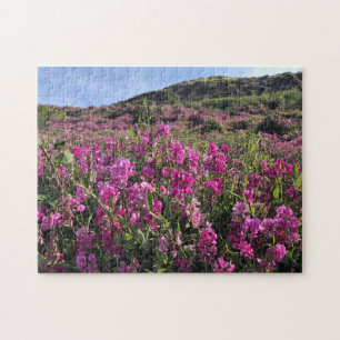 Sisters Rock State Park, Oregon Coast Jigsaw Puzzle