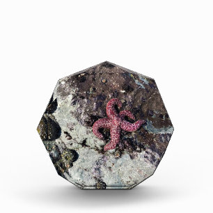 Sisters Rock State Park, Oregon Coast Photo Block