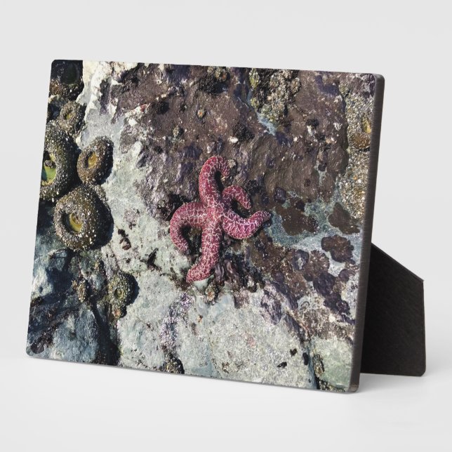 Sisters Rock State Park, Oregon Coast Plaque (Side)