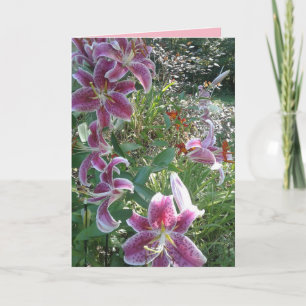 Sister's Stargazer Lilies Card