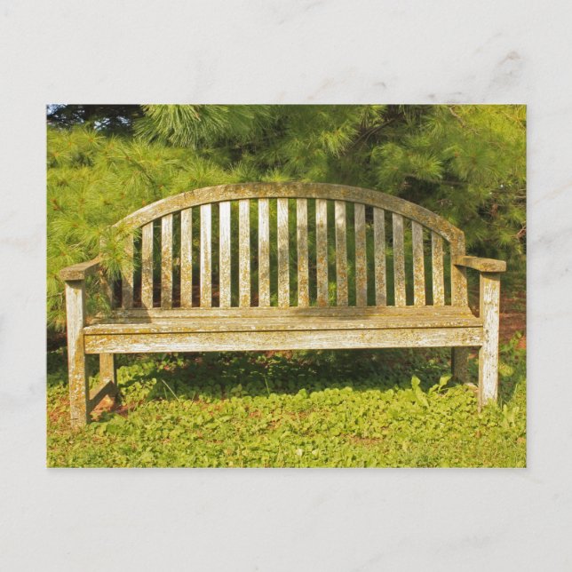 Sit And Rest Postcard (Front)