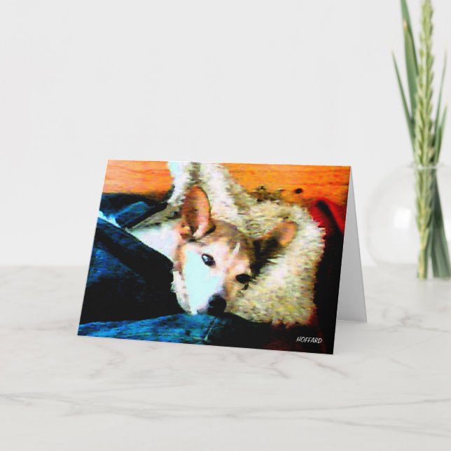 Sit Stay Heal, and Get Well Soon! Card (Front)