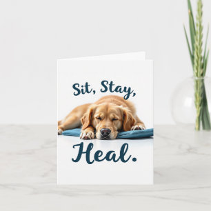 Sit Stay Heal Funny Get Well Card