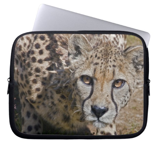 Sita Laptop Sleeve (Front)