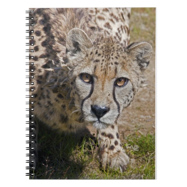 Sita Notebook (Front)
