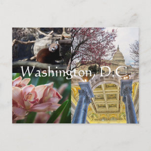 Sites of Washington, D.C. Postcard