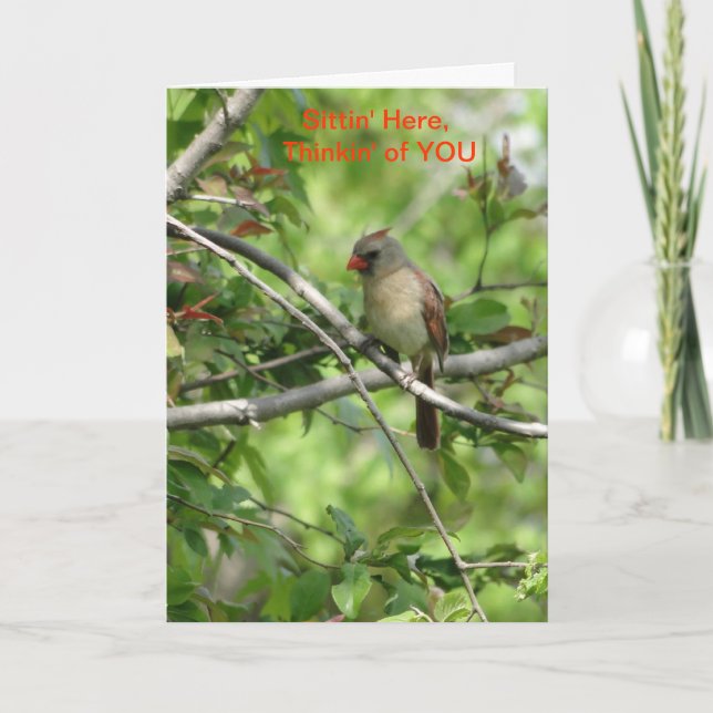 Sittin' Here, Female Cardinal Card (Front)
