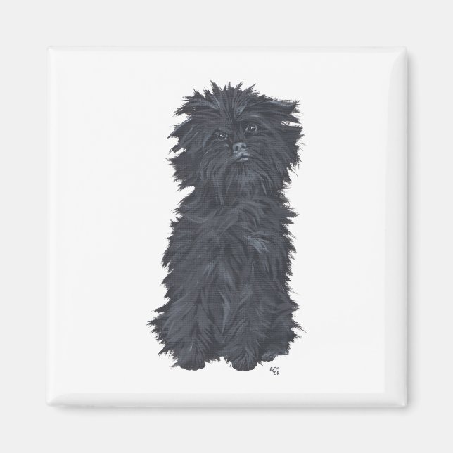 Sitting Affenpinscher Magnet (Front)