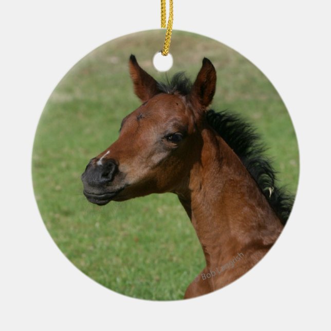 Sitting Arab Foal Ceramic Tree Decoration (Front)