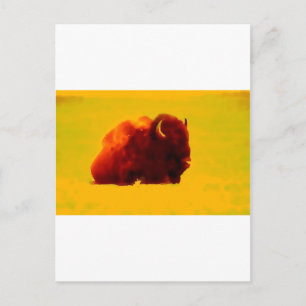 Sitting Bison Postcard