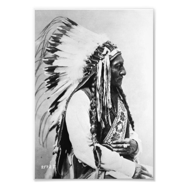 Sitting Bull, a Hunkpapa Sioux Photo Print (Front)
