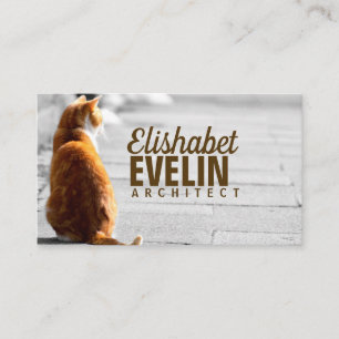 Sitting Cat On The Street Business Card