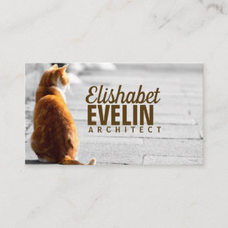 Sitting Cat On The Street Business Card