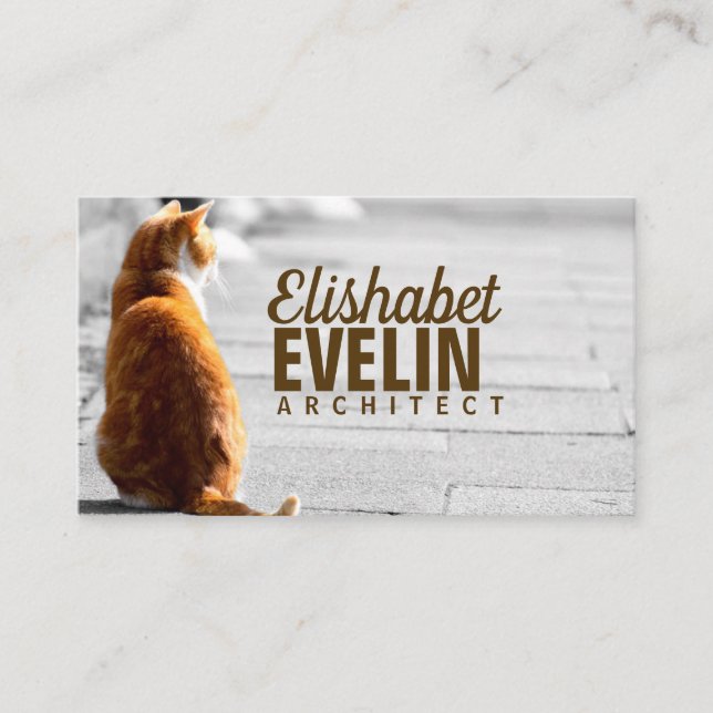 Sitting Cat On The Street Business Card (Front)