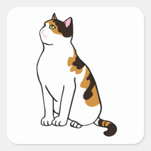 Sitting cat square sticker