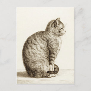 Sitting cat vintage sepia pencil drawing postcard
