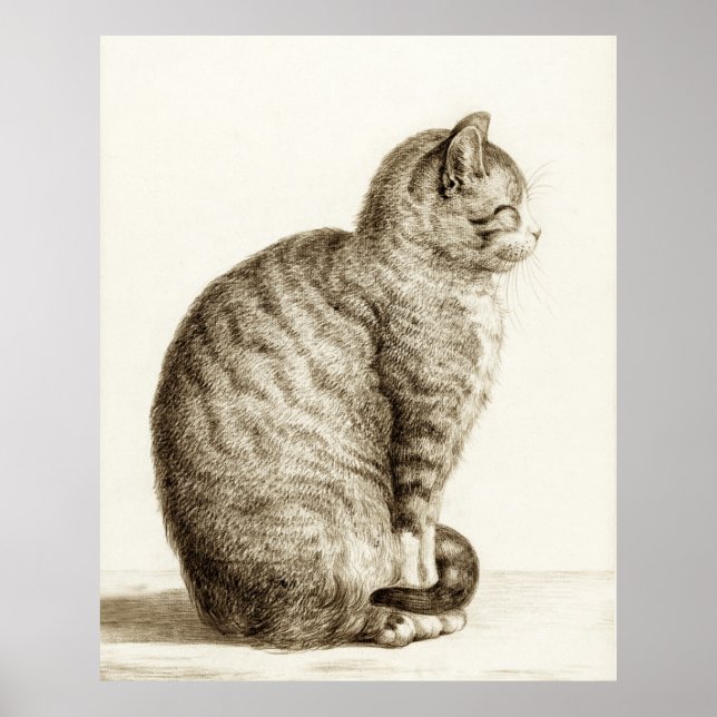 Sitting cat vintage sepia pencil drawing poster (Front)