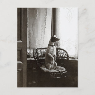 Sitting Dog by Window Vintage Art Repro Postcard