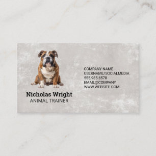 Sitting Dog   Trainer Groomer Services Business Card
