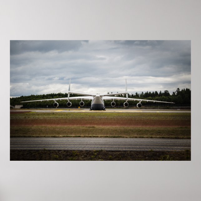 Sitting duck poster (Front)