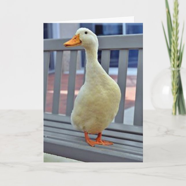 "SITTING DUCK" says HAPPY EASTER Holiday Card (Front)