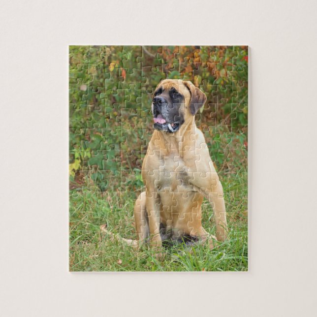 Sitting English Mastiff dog puzzle (Vertical)