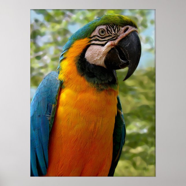 Sitting For You Poster (Front)