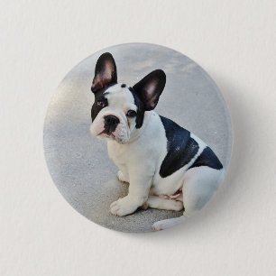 sitting french bulldog 6 cm round badge