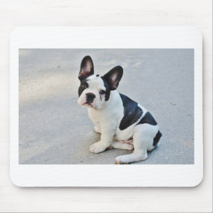 sitting french bulldog mouse mat