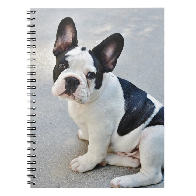 sitting french bulldog notebook (Front)