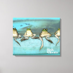 Sitting Frogs Canvas Print