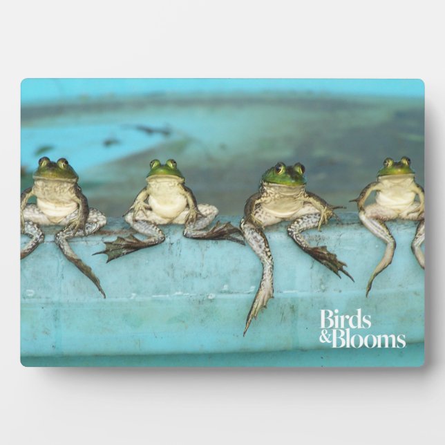 Sitting Frogs Plaque (Front)