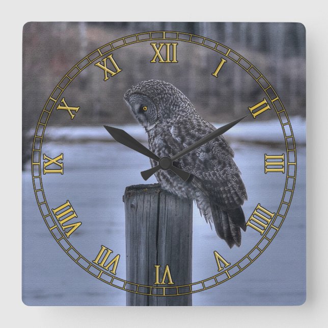 Sitting Great Grey Owl and Ranch Fence Post Square Wall Clock (Front)
