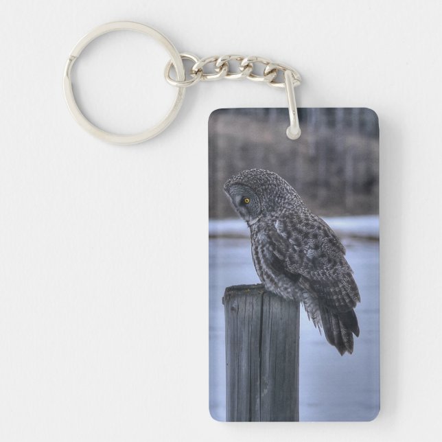 Sitting Great Grey Owl - Fence Post Wildlife Photo Key Ring (Front)