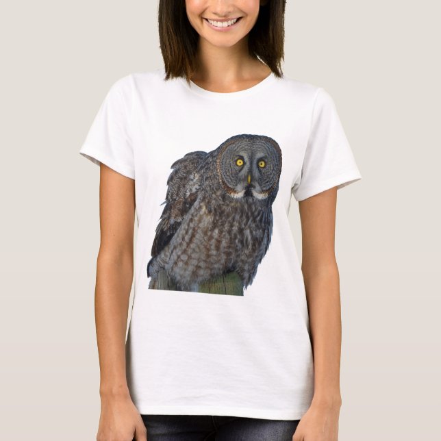 Sitting Great Grey Owl Raptor Wildlife Photo T-Shirt (Front)